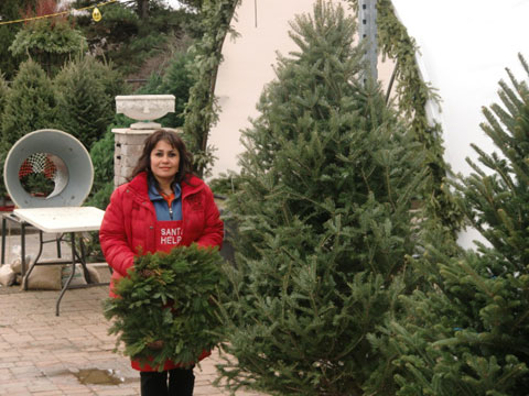 Christmas at Reds Garden Center